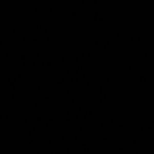 Meet your Posher, Daisya